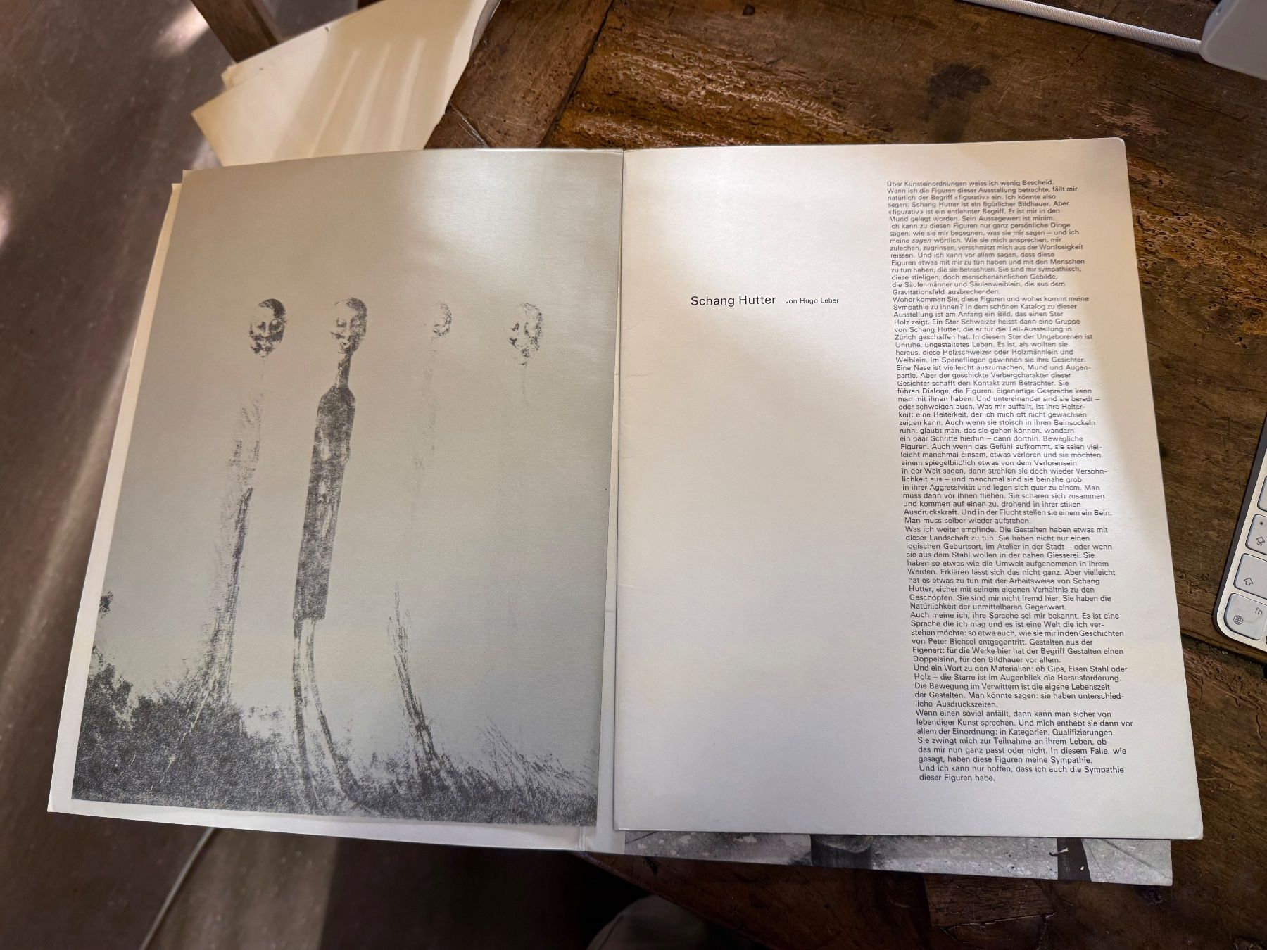 Libri: Schang HUTTER Splitter 1973 – Usato da Bern venduto da Jwpm66 2