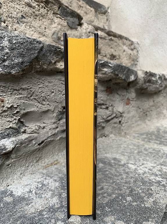Libri: Il regno dei malvagi, Kerri Maniscalco – Usato da Roveredo GR venduto da ppe_xcs9 3