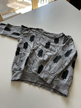 Gardner and the gang pullover