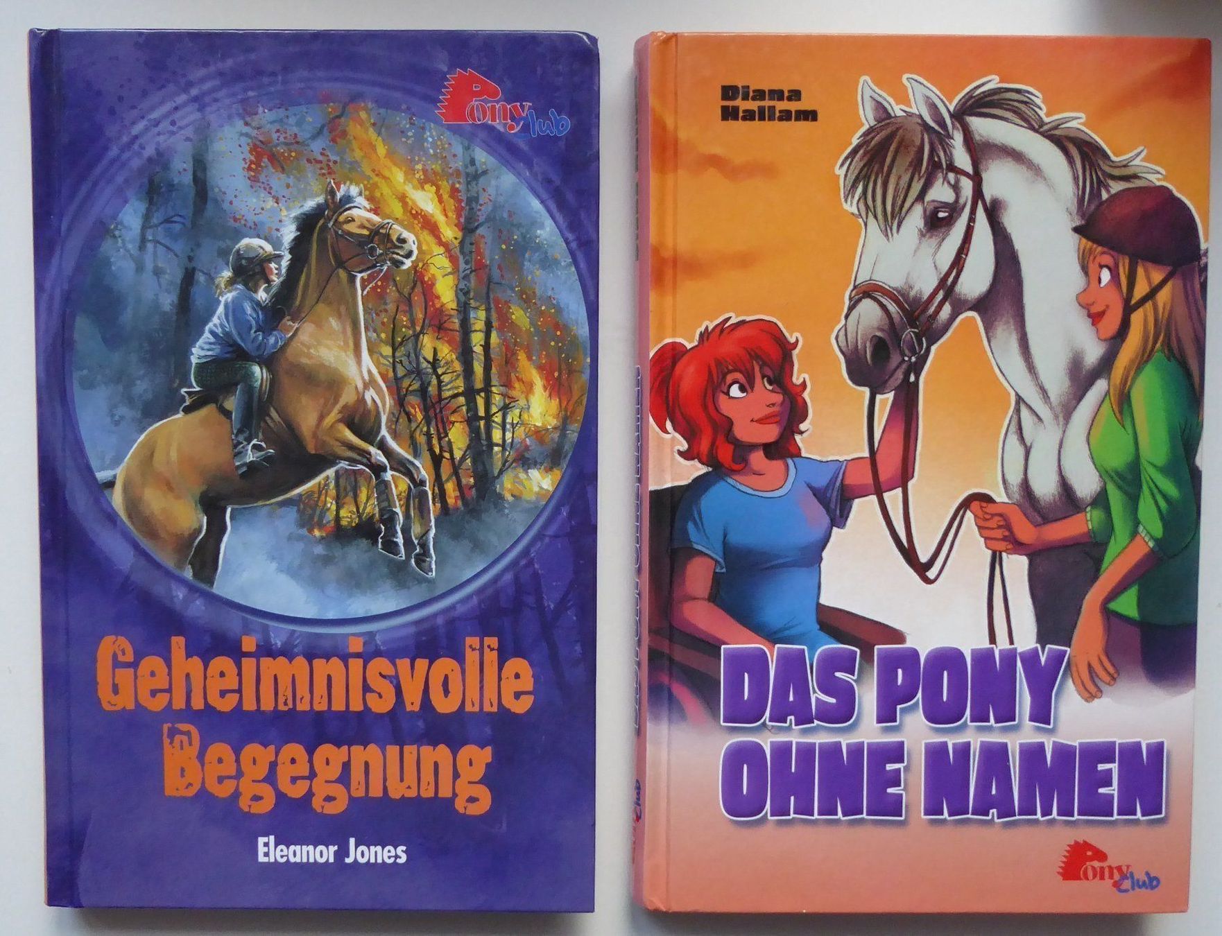 Libri: Pony Club - 2 Bücher – Usato da Wettingen venduto da tonia3