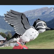 Profile image of oneworld01