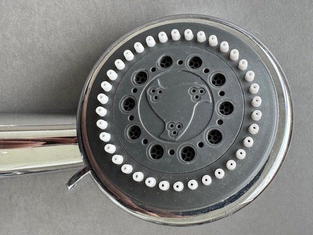 Soffioni doccia: HANDBRAUSE / DUSCHKOPF CHROM – Usato da Honau venduto da Ritika 2