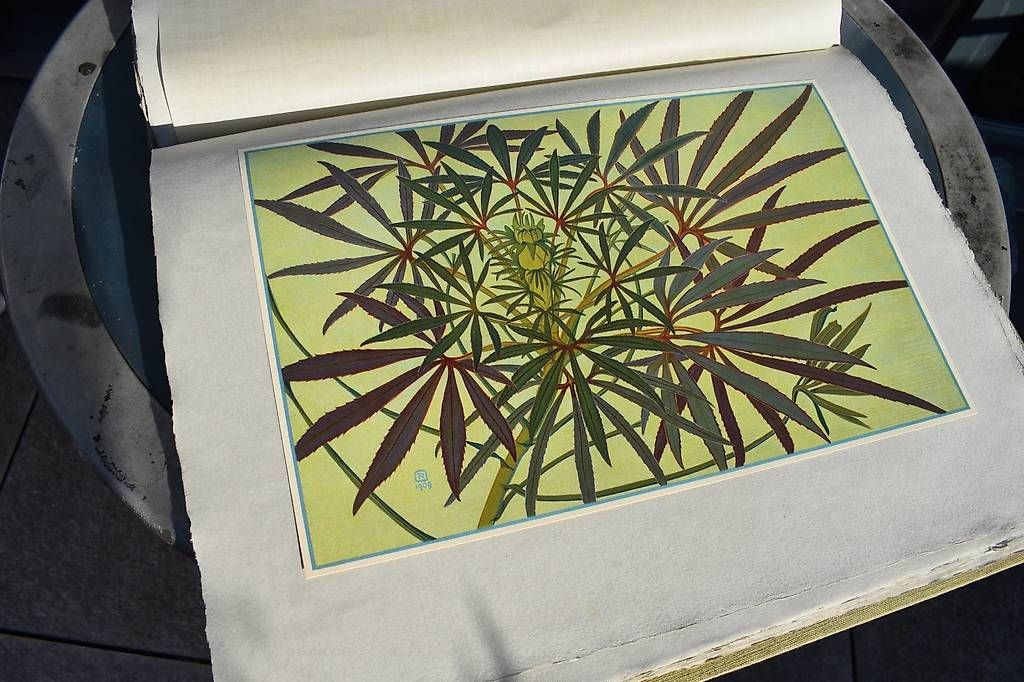 Arts picturaux & lithographies: Feulles d'Automne Edit. Ph.Robert Ried Bienne 1909. – D'occasion à Brügg BE par Aristotolius