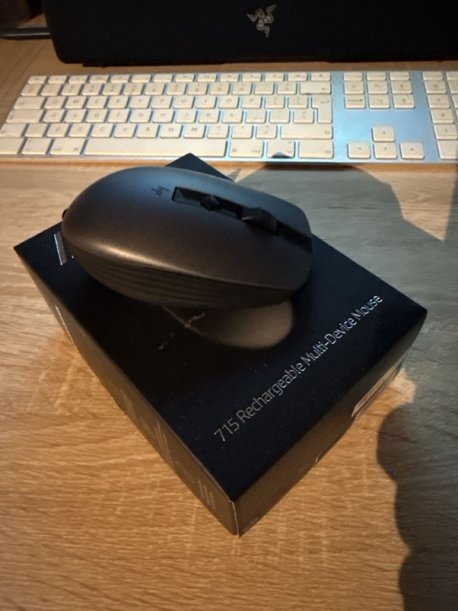 Mouse: HP Maus – Nuovo (secondo la descrizione) da Saas-Grund venduto da Benato11
