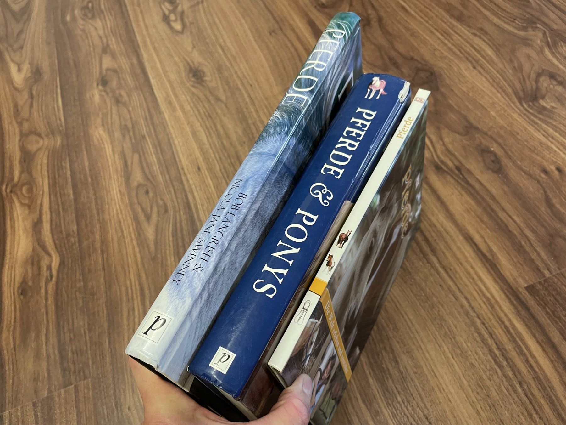 Libri: 3 tolle Pferde-Bilderbücher – Usato da Flüelen venduto da jodel_du 1