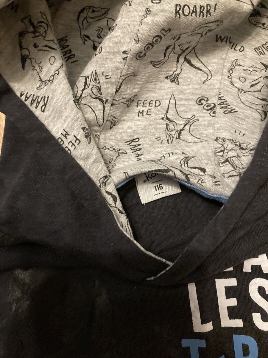 Maglioni & Felpe: Kinder Dino Langarmshirt Gr. 116 – Usato da Emmenbrücke venduto da JJ_89 2