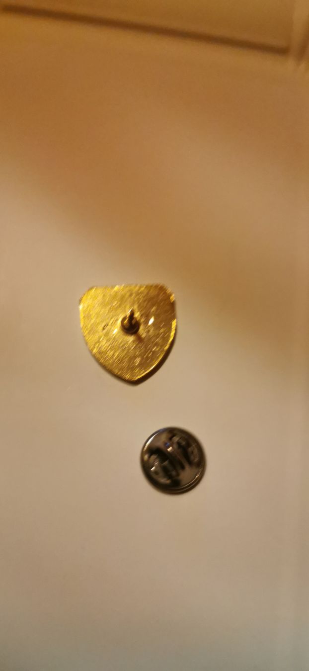 Placchette & Badge: Pin Firenze  – Usato da Genève venduto da vins50 1