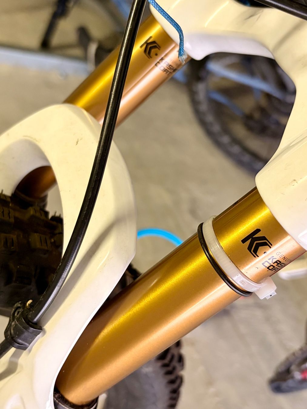 Vélos: Bike INTENSE Tazer – D'occasion à Richterswil par Traemlis 1