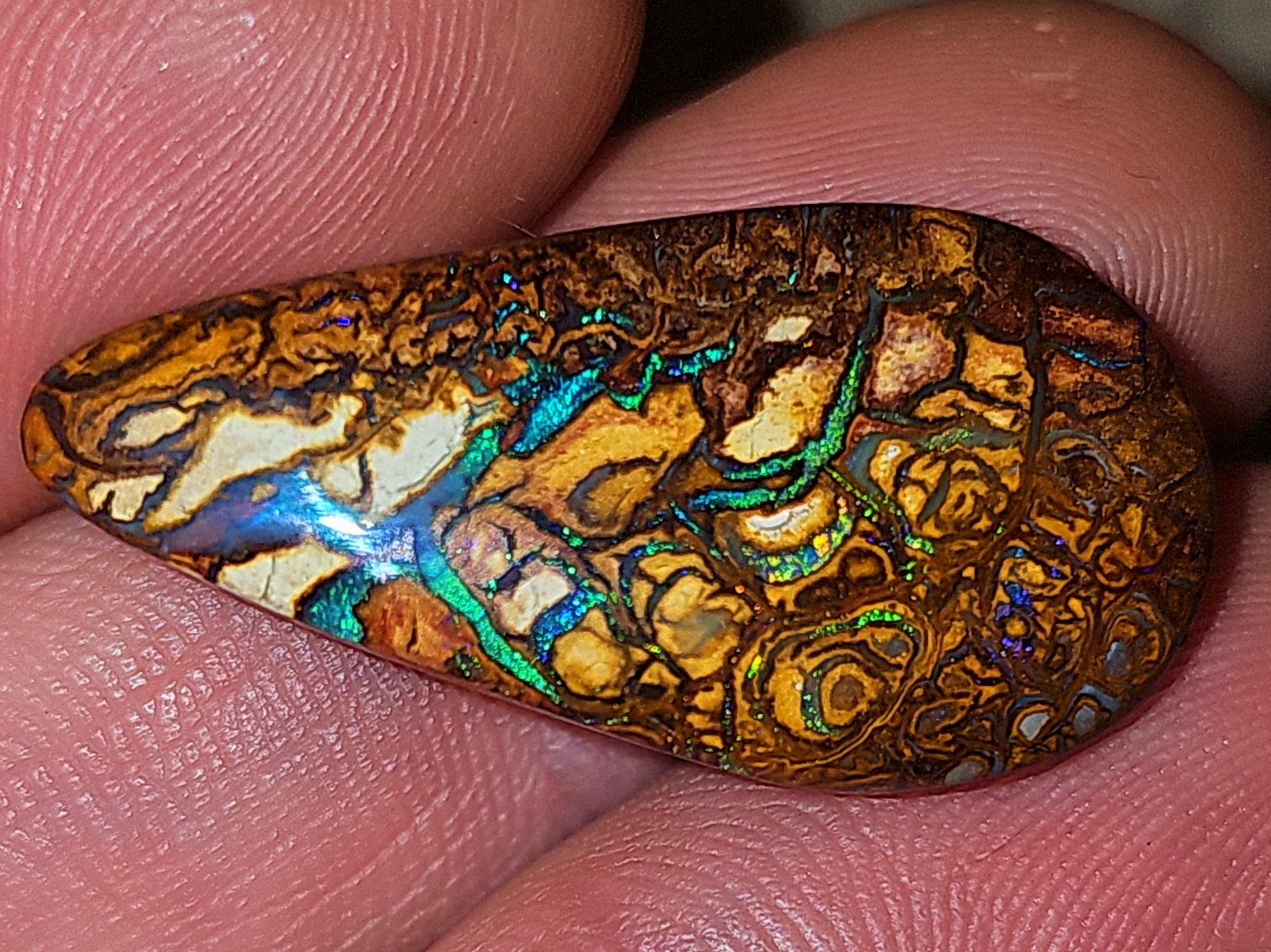 Pietre preziose: Australischer (Koroit) Boulder Opal – Nuovo e nell'imballaggio originale da Uerkheim venduto da Winwinner 1