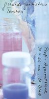 AQUARELLEBLOCK GUARDI ARTISTICO 30X60CM