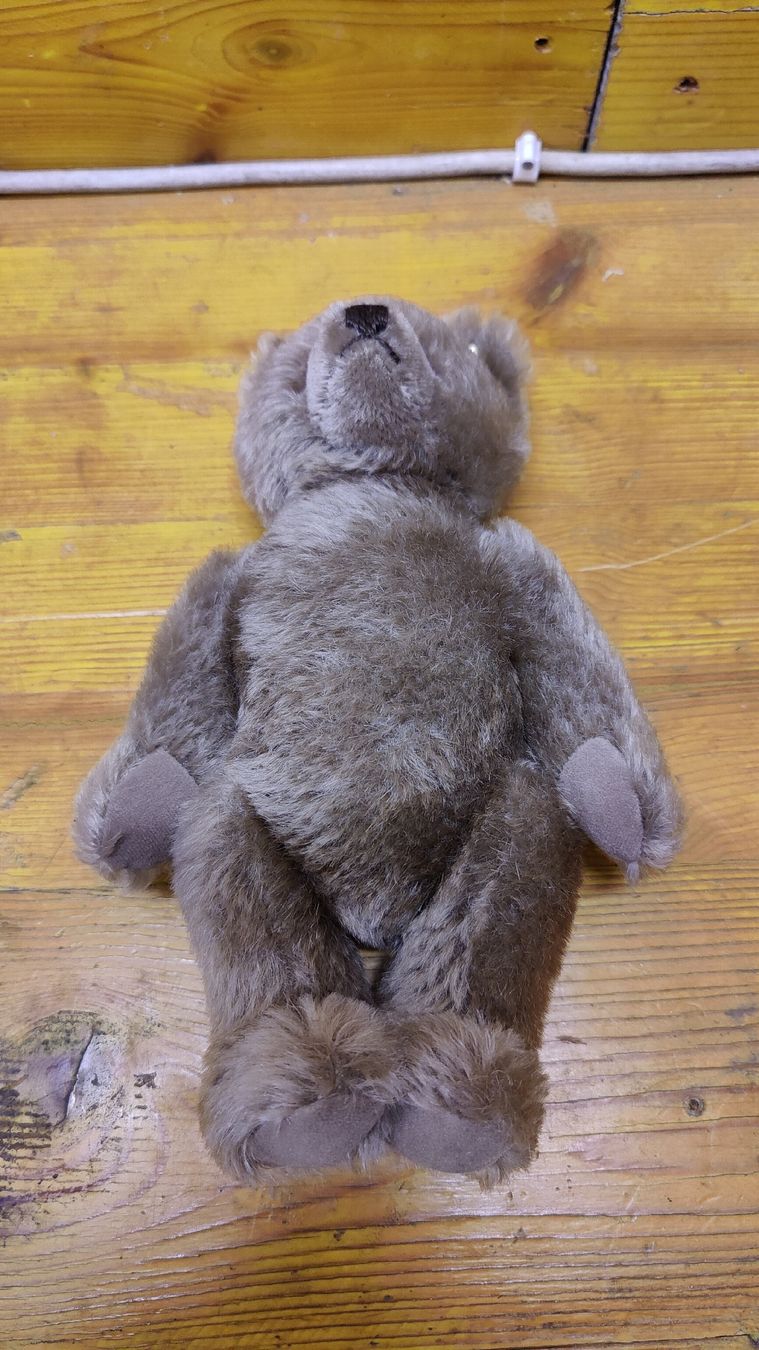 Steiff Giocattoli: Antiker Steiff Teddy, Teddybär (L10) – Usato da Neuenhof venduto da SchnaeppliAllerlei 2