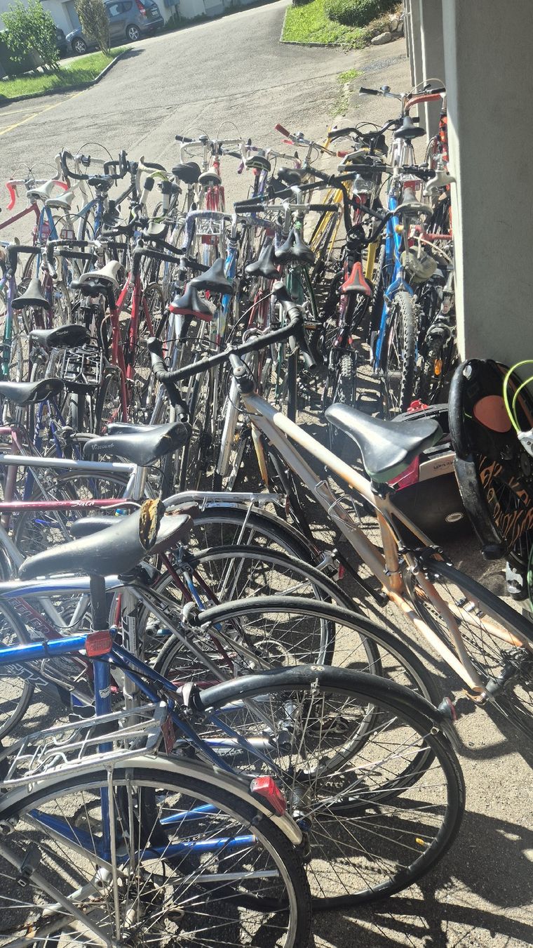 Biciclette: Rennvelos zu verkaufen – Usato da Rämismühle venduto da beni0010 1