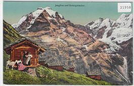 Jungfrau und Rottalgletscher - Ziege