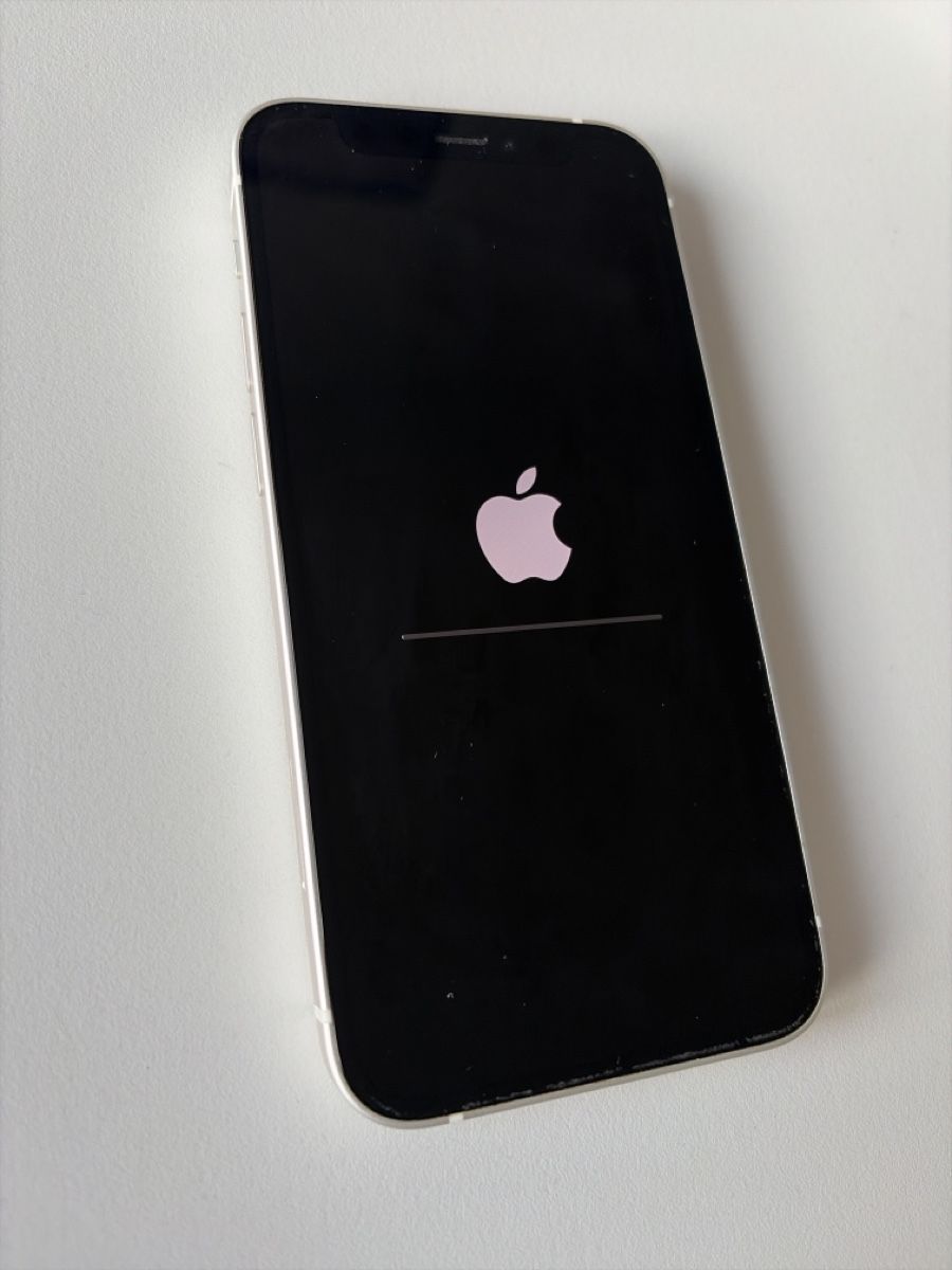 Apple Portables: iPhone 12 mini  – D'occasion à Rechthalten par Protechzoom