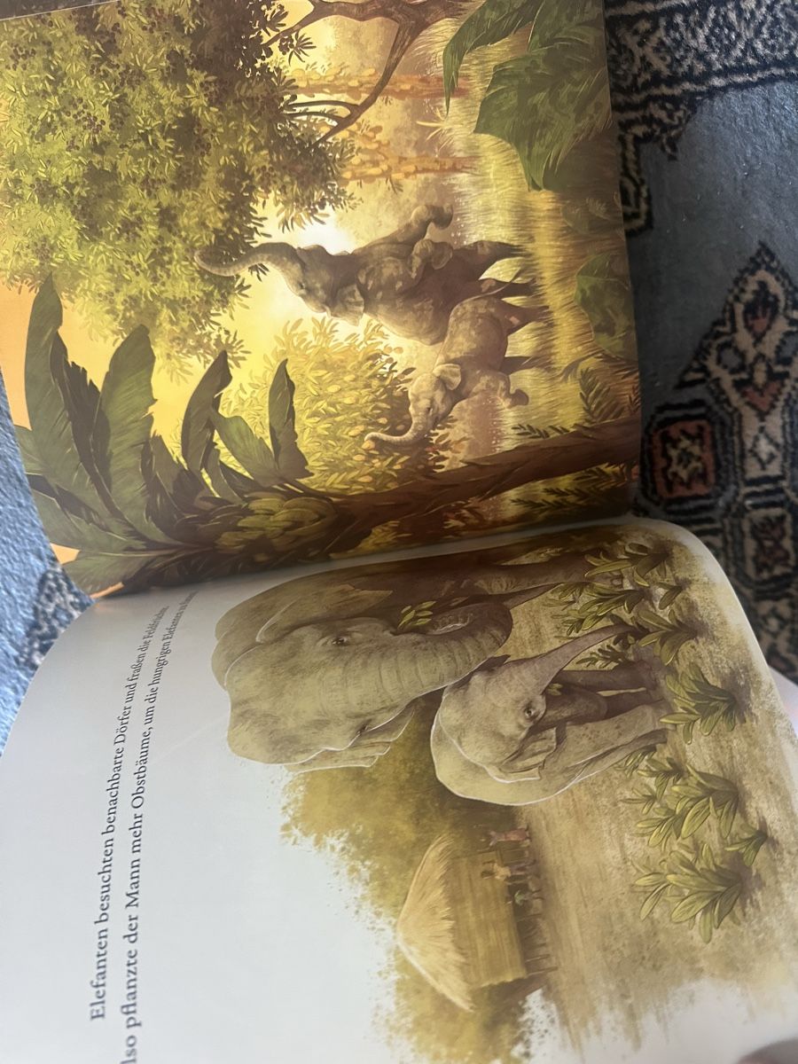 Libri: Der Junge, der einen Wald pflanzte wie Neu – Nuovo (secondo la descrizione) da Uster venduto da bek_v2ct 6