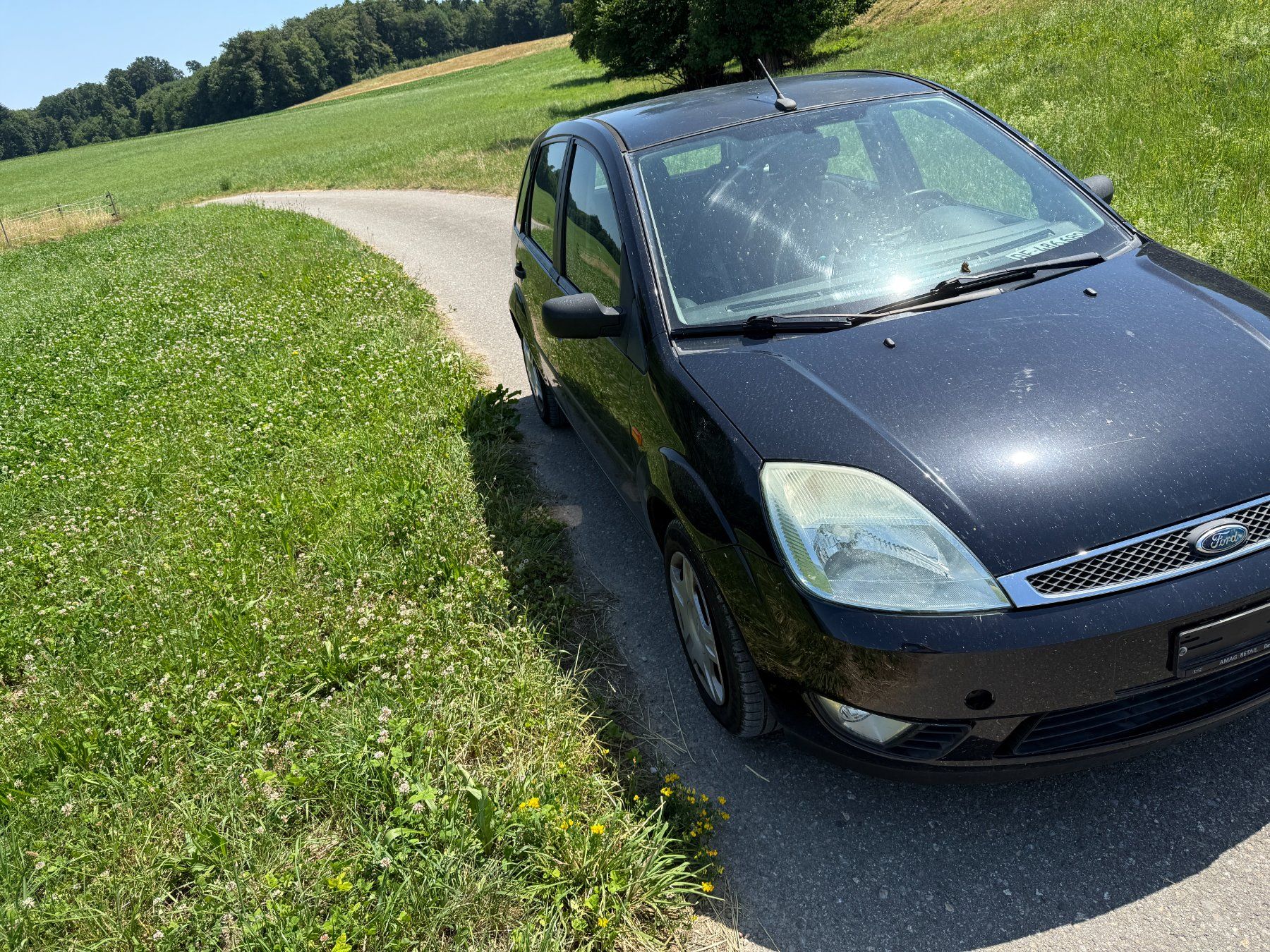 Ford Automobili: Ford Fiesta 1.4l 2004 – Usato da Arch venduto da sicos79 2