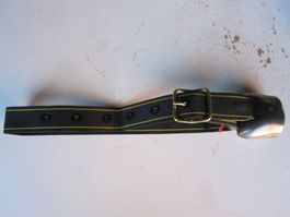 Treichel mit neuem Riemen