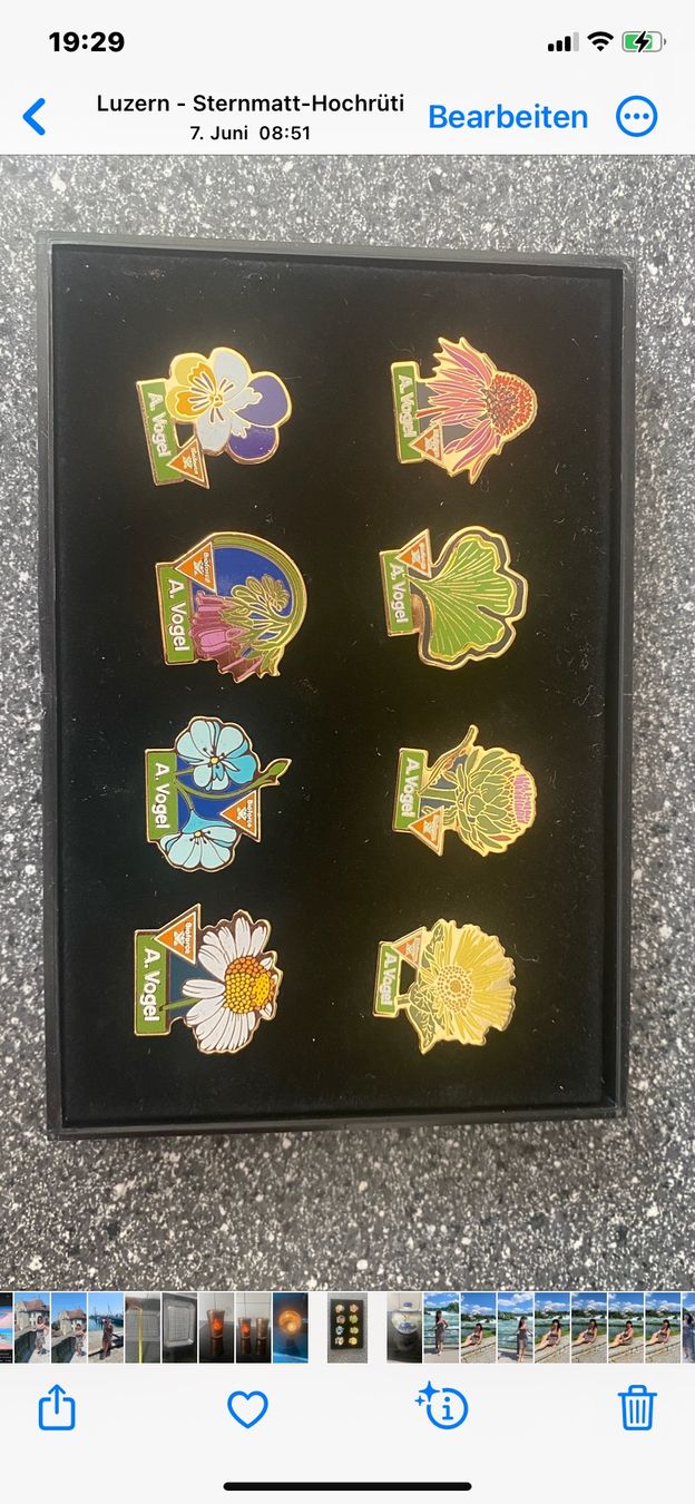Plaketten & Abzeichen: Sehr schöne A.Vogel Pins – Gebraucht aus luzern von bar_5gtr