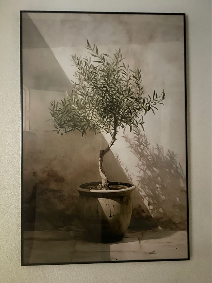 Foto & Immagini: Bild von Olivenbaum mit Rahmen von Juniqe – Usato da Winterthur venduto da lue_sqt9