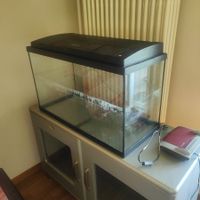 Aquarium mit Unterschrank und Beleuchtung – funktionstüchtig