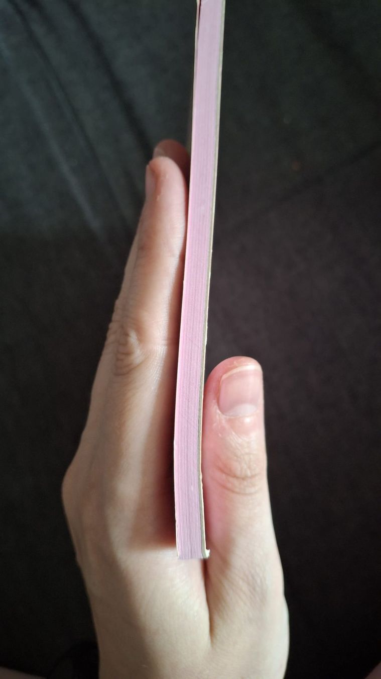 Blocs de correspondance: Diddl Block A5 Käsekästchen Spiel – D'occasion à Wil SG par FionaSmile 3