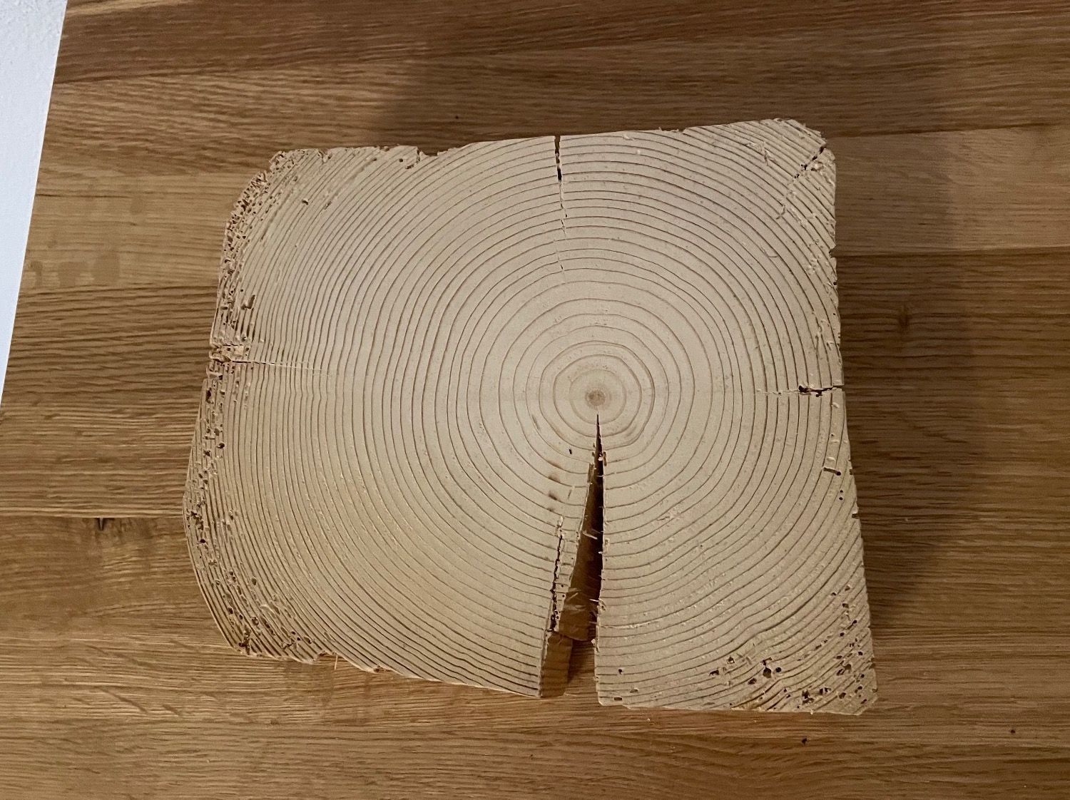 Untersetzer: Holzscheibe zu Deko-Zwecken – Neu (gemäss Beschreibung) aus Gachnang von ch.m 3