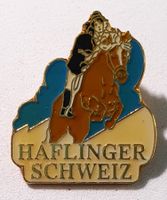AA700 - Pin Pferd Rasse Haflinger Schweiz