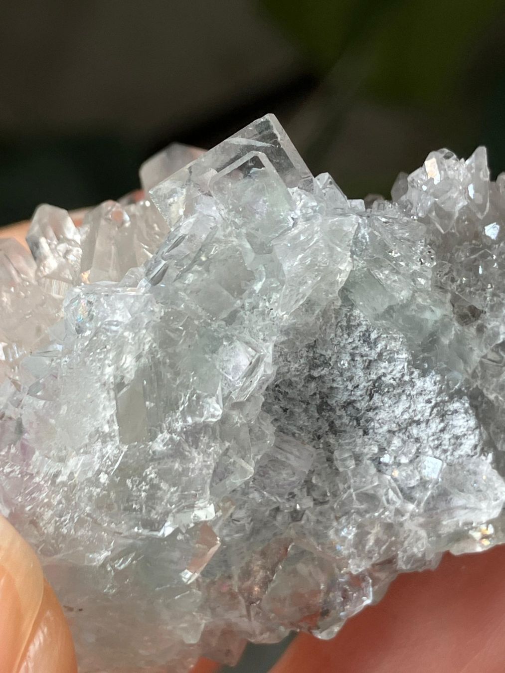 Minerali & Pietre curative: Quarz-Cluster mit Fluorit – Nuovo (secondo la descrizione) da Neuheim venduto da m.hald 6