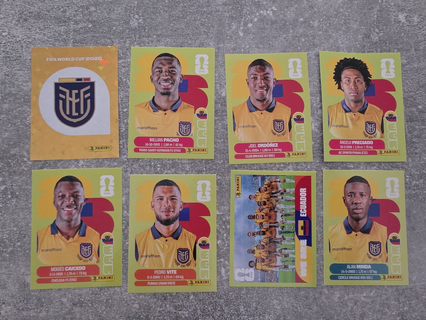 Panini Carte collezionabili: Panini Bilder WM 2026- Team Ecuador – Usato da St. Gallen venduto da Shelly__x3