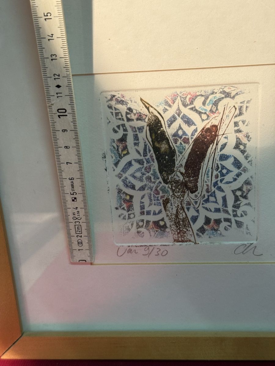 Dipinti: Signed Limited Edition Framed Etching - Autumn Birds – Usato da Lausanne venduto da vas_cdb2 2