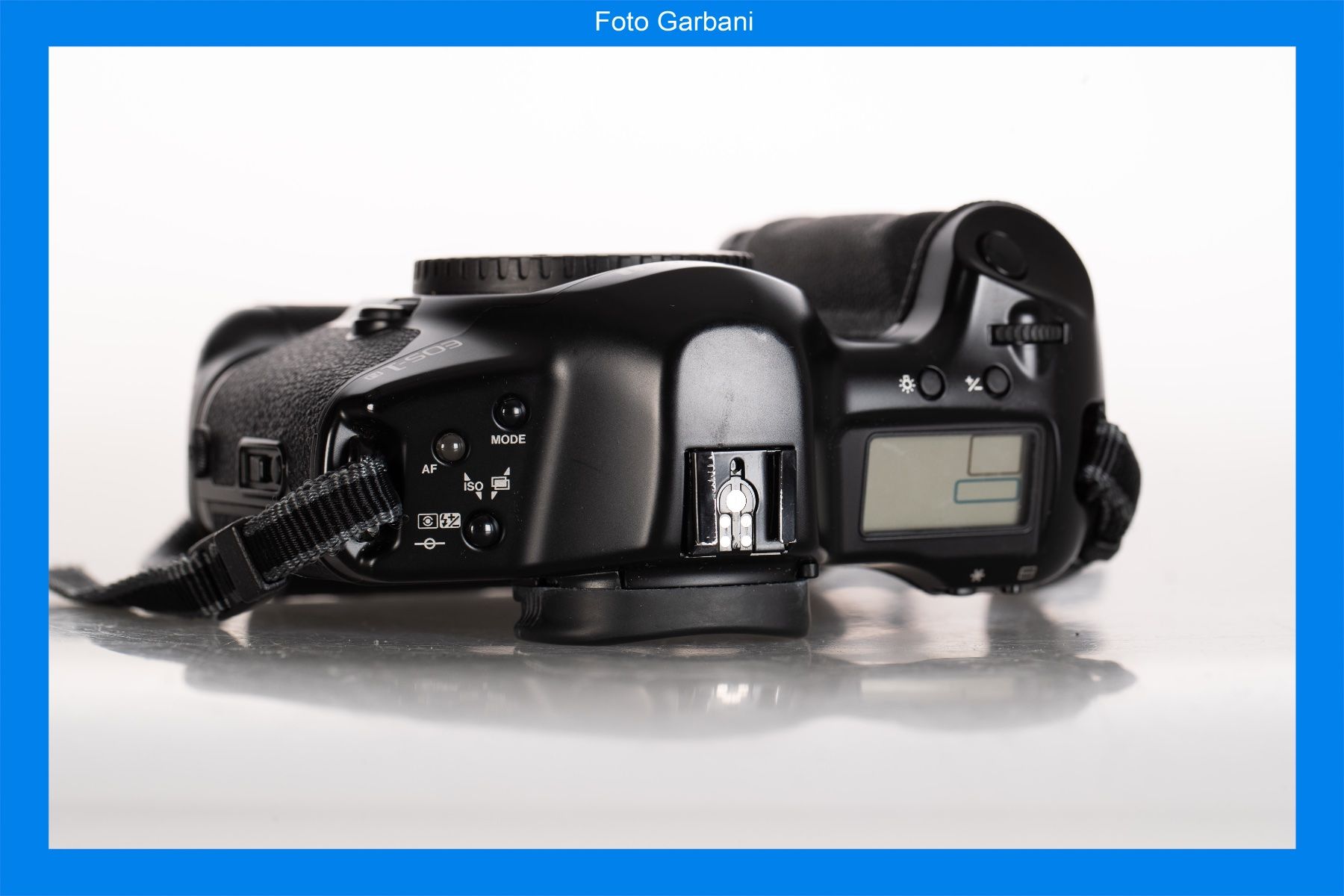 Canon Fotocamera: Canon EOS-1 N body – Usato da Muralto venduto da FotoGarbani 4
