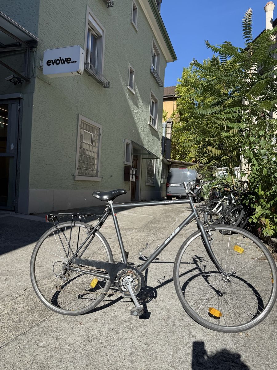 Cilo Biciclette: Cilo City Bike – Usato da Zürich venduto da vic_5jnl