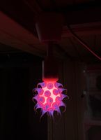 Hänge - Leuchte pink mit lustiger, passender Lampe (Birrli)