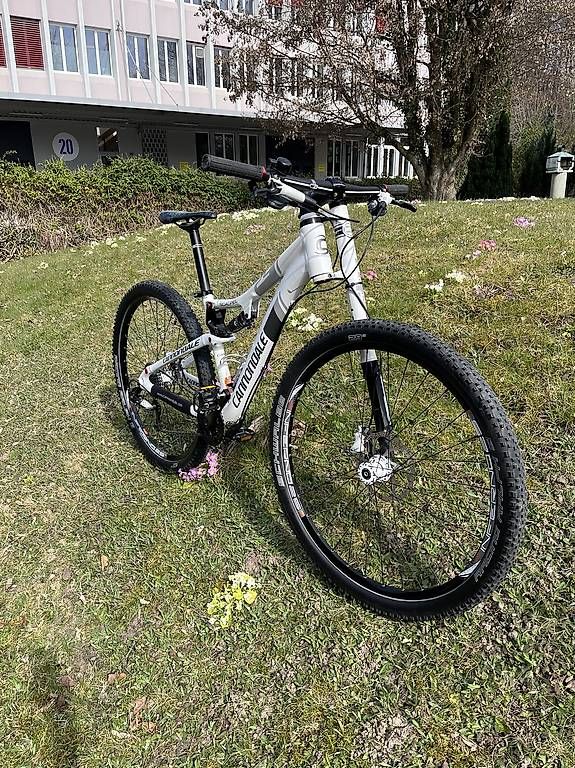 Vélos: Cannondale Scalpel Lefty – D'occasion à Egg b. Zürich par Gluekler1 3