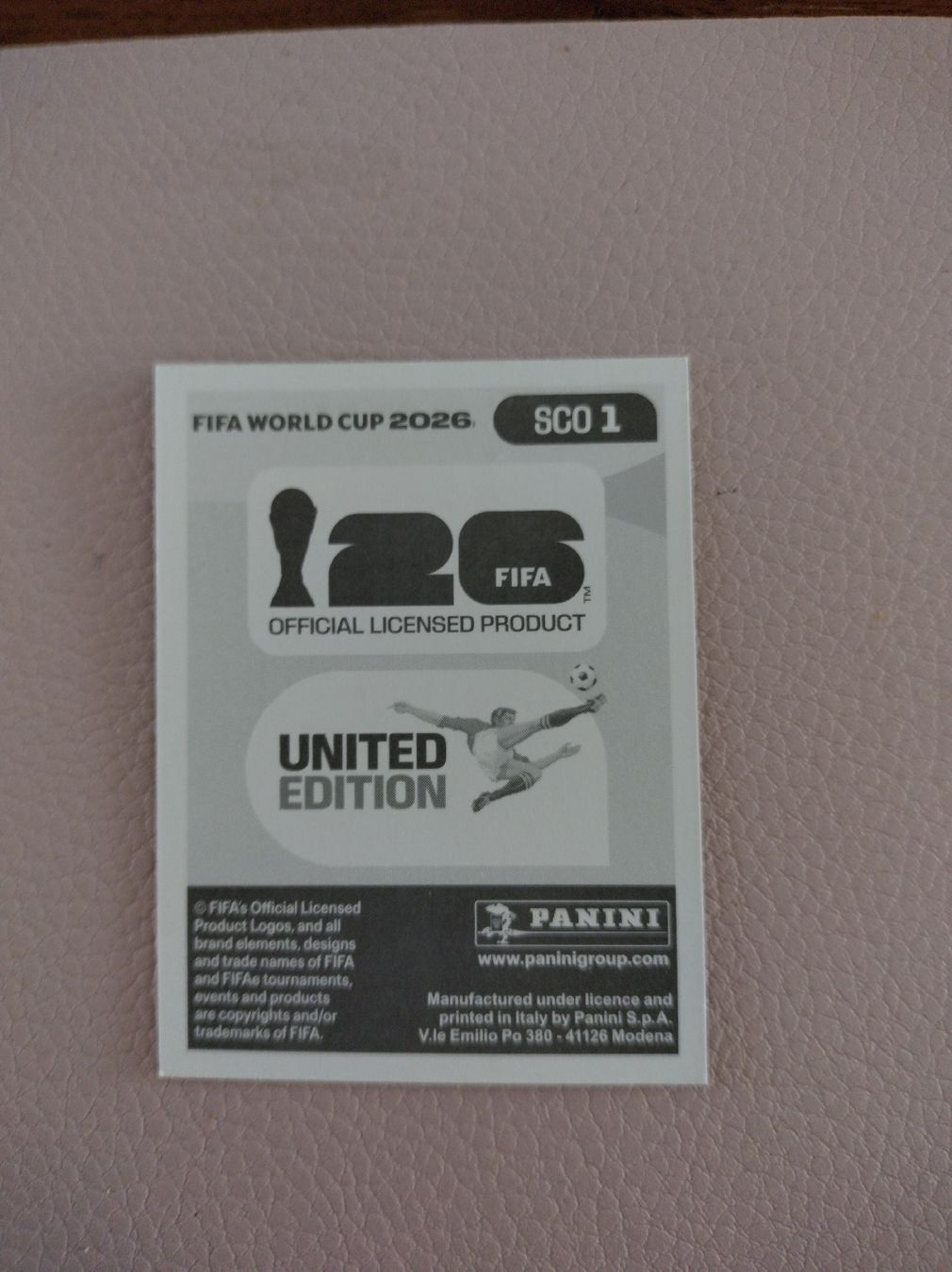 Panini Carte collezionabili: SCO1 – Nuovo (secondo la descrizione) da Schöftland venduto da KuLe_8pmc 1