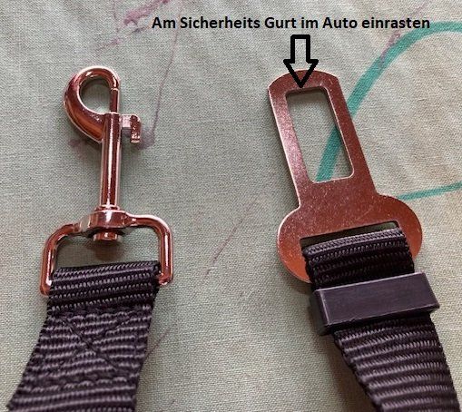 Accessori per altri veicoli: Sicherheits Gurt fürs Auto – Nuovo e nell'imballaggio originale da Matt venduto da Westigruppe 1