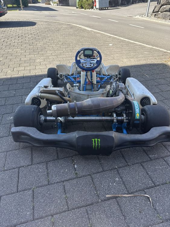 Kart 125ccm Fernando Alonso 6