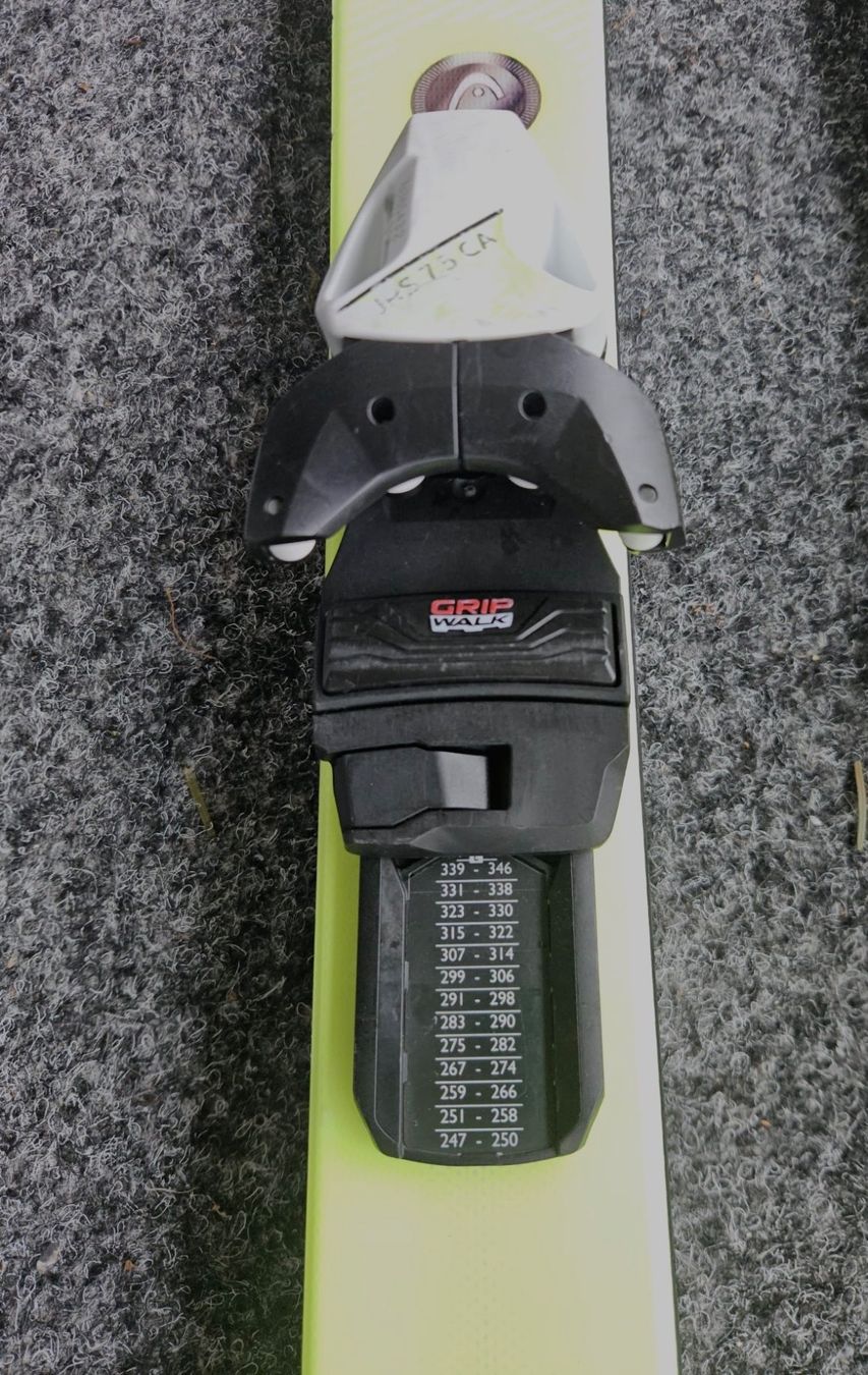 Head Skis: Ski Head Supershape 150 cm – Gebraucht aus Ehrendingen von Uxaxa 7