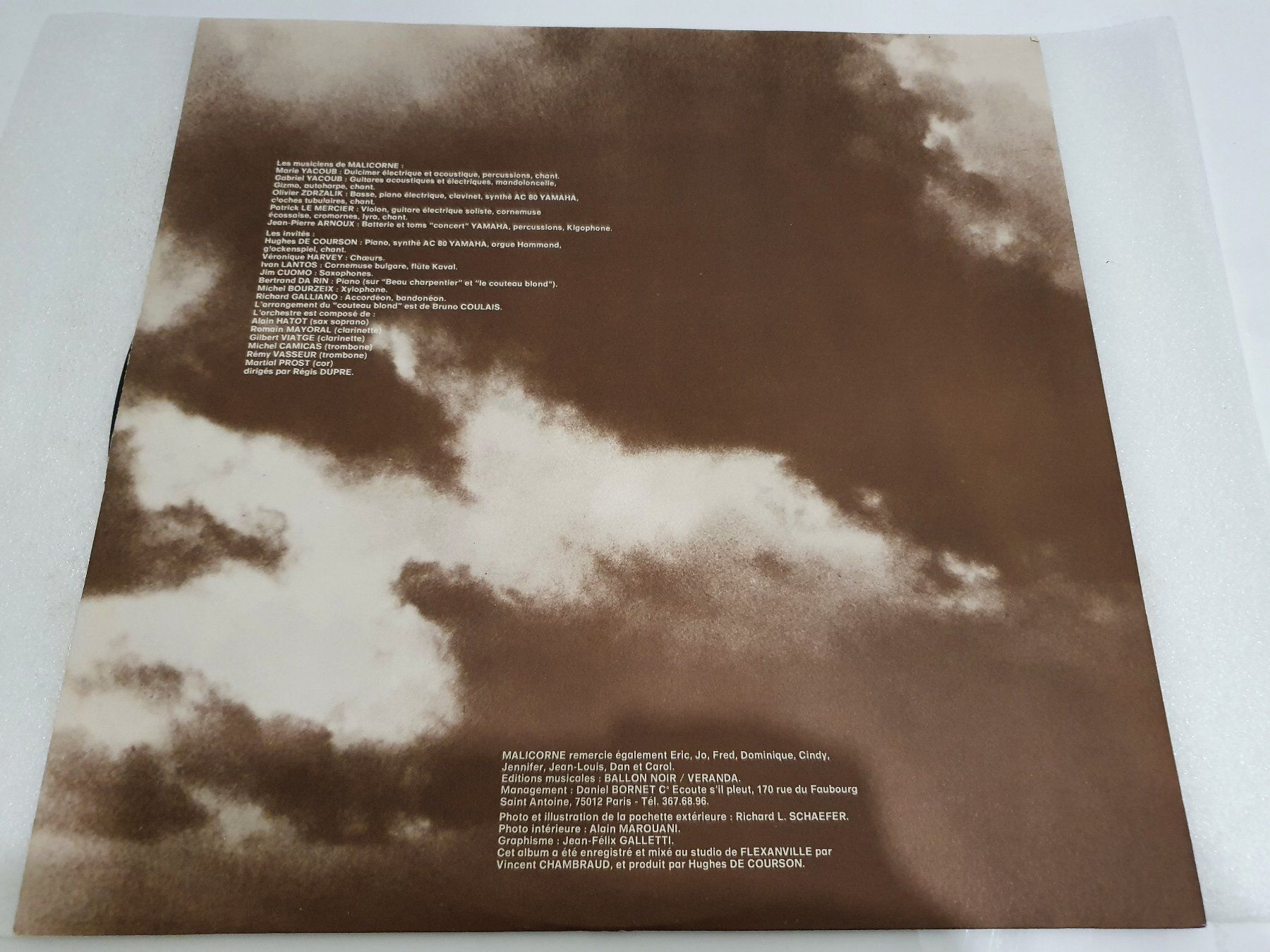 Dischi in vinile: Malicorne – Balançoire En Feu – Usato da Uster venduto da Vinyl-Leidenschaft 3