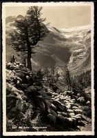 AK Alp Grüm, Landschaft mit Palügletscher u. Wanderer