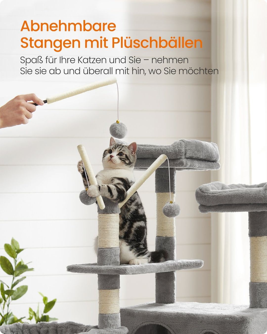 Tiragraffi: Kratzbaum 164 cm hoch hellgrau – Nuovo e nell'imballaggio originale da Lachen SZ venduto da MAMORU-MOEBEL 5