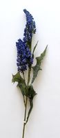 Blumenrispen blau