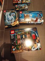 6 Harry Potter-Sets