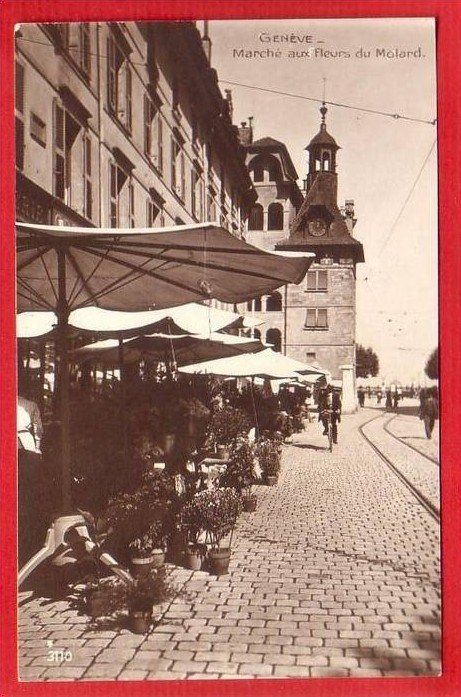 Ansichtskarten: GENÈVE MARCHÉ AUX FLEURS DU MOLARD – Gebraucht aus Grüningen von Kartenlaube