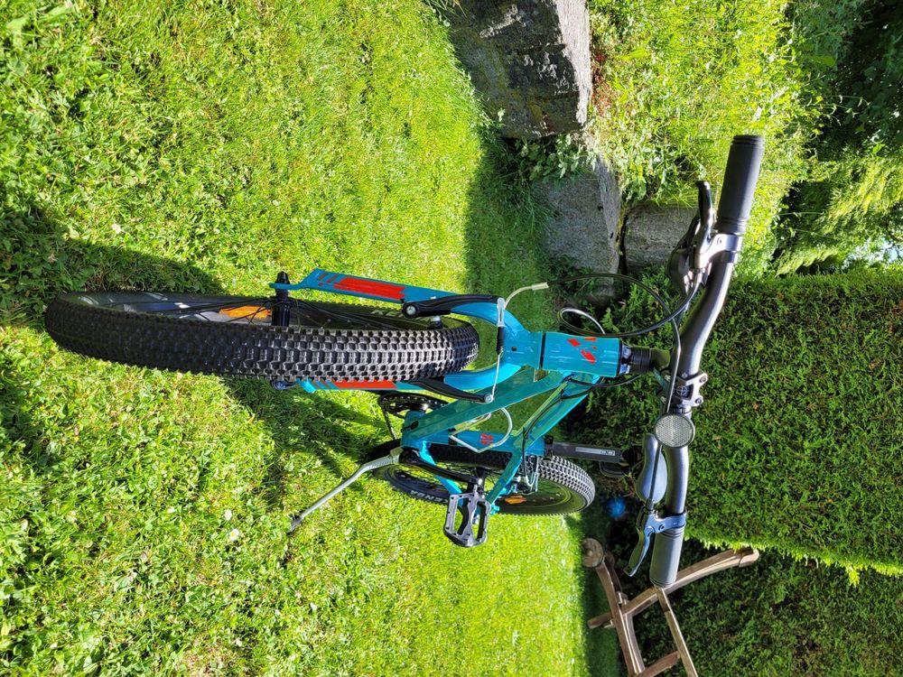 Orbea mx 20 online team 2020