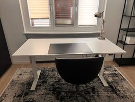 Höhenverstellbarer Schreibtisch - elektrisch