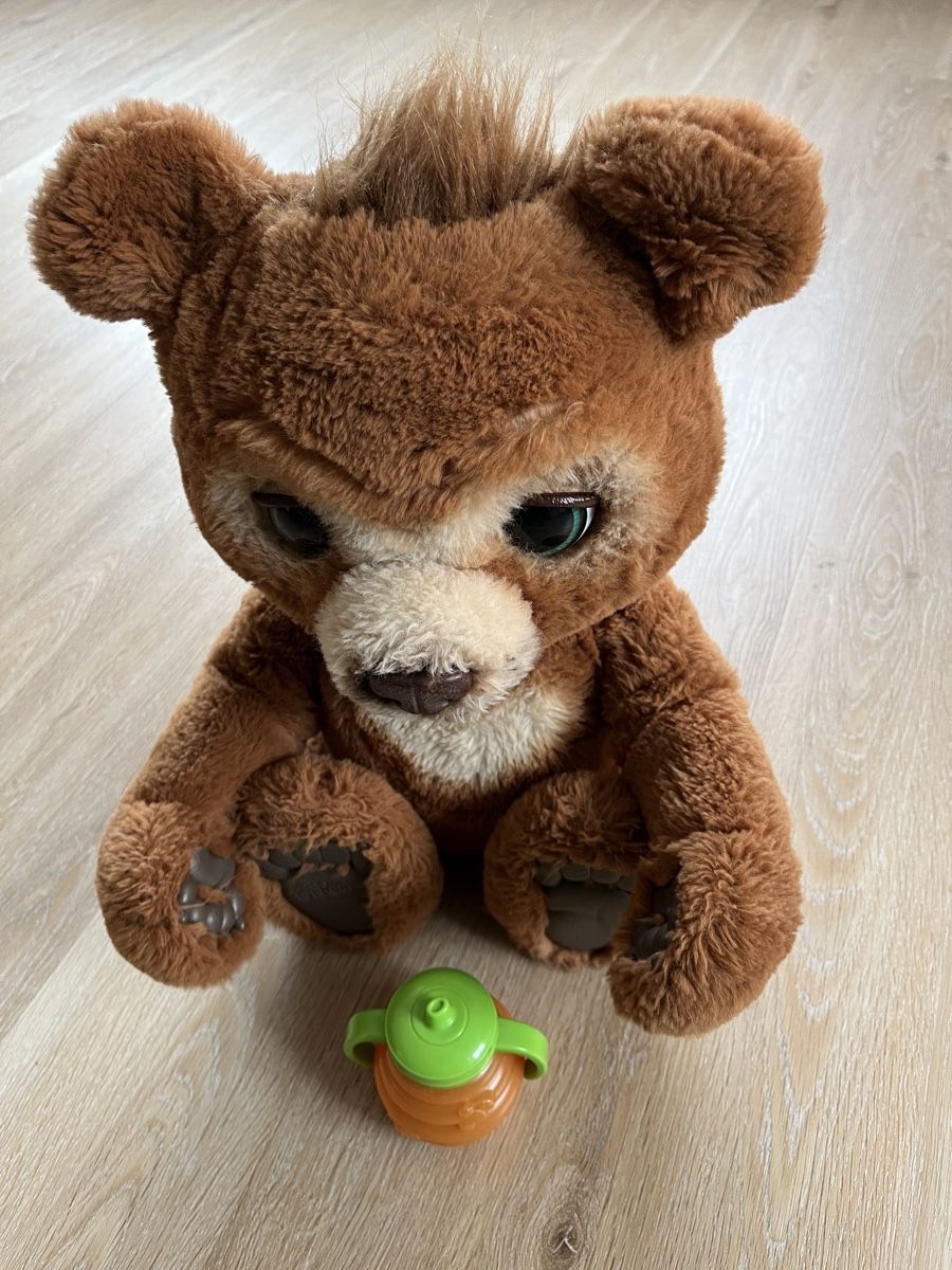 Hasbro Giocattoli: Cubby Kuschelbär mit Geräuschen – Usato da Sulz AG venduto da Zissi31324