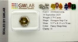 Seltener 2.79ct Hexagon Step-Cut Grau Diamant GWLaB