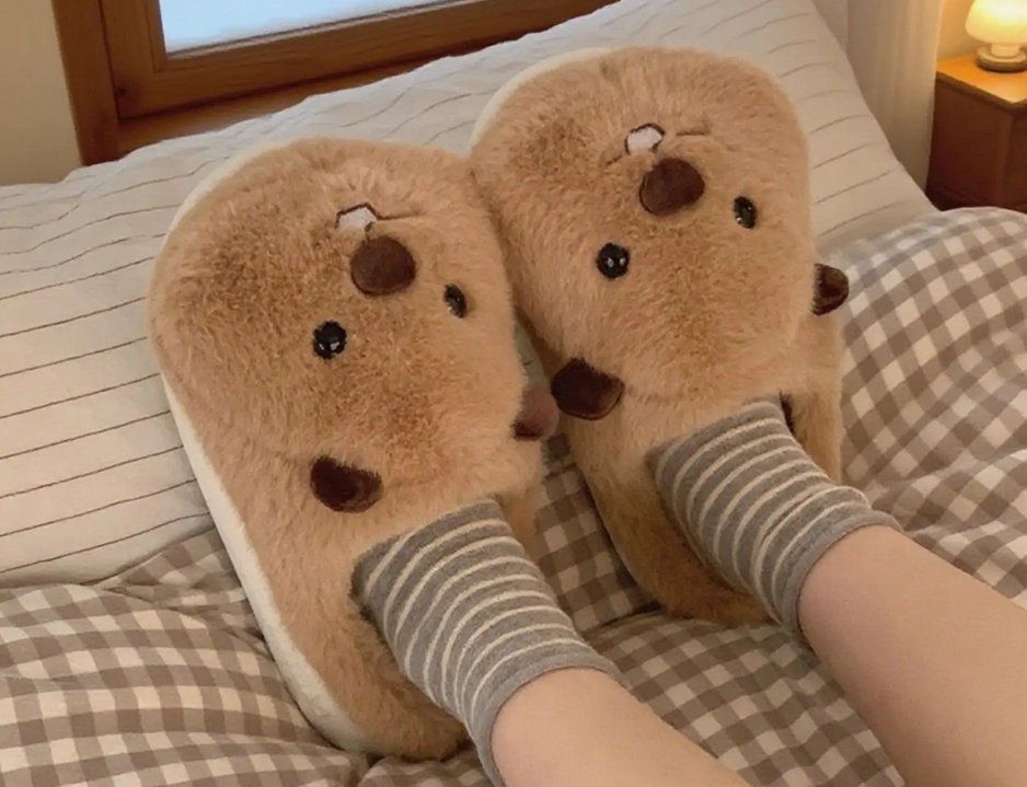 Scarpe da donna: Warme Capybara Hausschuhe – Nuovo e nell'imballaggio originale da Lausanne venduto da animalopolis 1