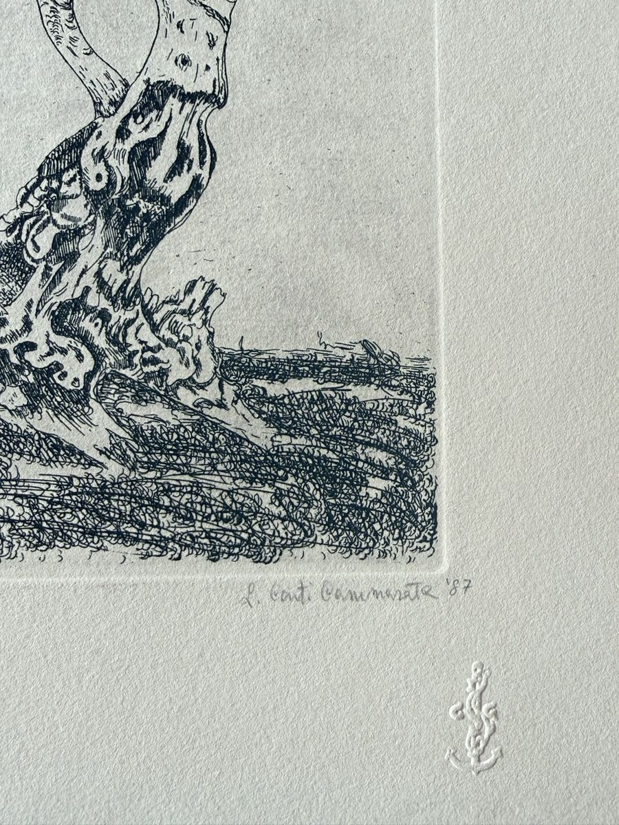 Grafica & Litografie: Radierung | 34.5x24.5cm – Usato da Solothurn venduto da NUVICO 1